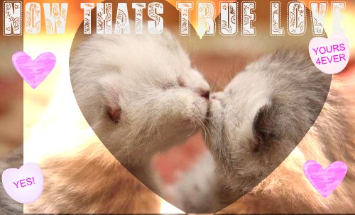 Thats what I call TRUE LOVE!