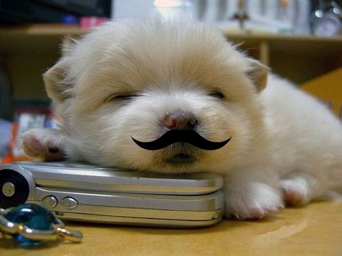 I'm just sleeping... but when I wake up I have a mustash!what's up with that