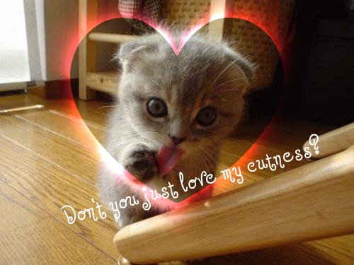 I'm so cute you just have to love me!