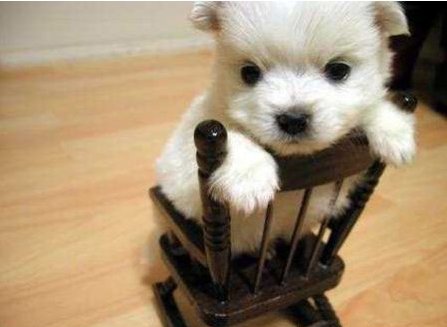 I'm rocking this chair!